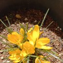 보성농장 이미지