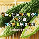 당뇨 잡는 도깨비 방망이 여주의 놀라운 효능 10가지 이미지