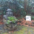 제주도유 이미지