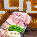 유니네식당 이미지
