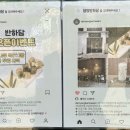 반하담 이미지