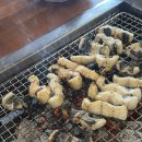 저렴한 가격에 팔뚝만한 갓 잡은 장어를 먹을 수 있는 장어직판장 사당역맛집 천년풍천장어