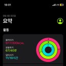 산천송어 이미지