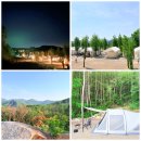 산과 자연의 쉼터 | 양평 엘모로캠핑파크 가족 캠핑장 S사이트 12 2박 3일 힐링 후기