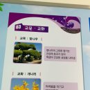 천안초등학교 병설유치원 이미지