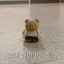 오월(5월) 1 이미지