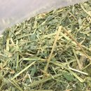 달나라 토끼농장 이미지