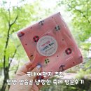 국내여행지 추천, 밀양 얼음골 냉랭한 축제 방문 후기