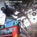 with dog(위드독) 이미지