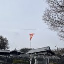 까치밥 | 마쓰야마 여행 근교투어 강력 추천 | 마츠야마 유유투어 : 우치코 - 오즈 - 시모나다역 내돈내산 후기