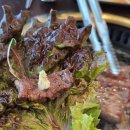 진원 | 동탄목동 소고기맛집 진원소우 런치 후기 동탄 소고기무한리필 가성비 인정