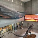 (임시)수정청소년수련관 건물 내 입구 및 복도 | 서대문자연사박물관 완벽 가이드: 2026년 예약부터 주차까지 실전 관람 후기