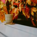 앤시정보기술(주) 이미지