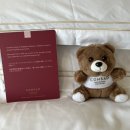 미스박헤어 | 싱가포르 DAY 5. 콘래드 싱가포르 후기, Conrad Centennial Singapore (룸컨디션, 조식, 수영장 그외...