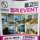 올고핏