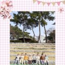 작은 발걸음, 큰 행복 🌿 1세반 봄 산책(사회관계, 자연탐구) 이미지