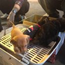 찬구농장 이미지