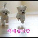 오늘선물 이미지