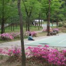 차리인동네 이미지