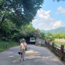 의림지-05 이미지