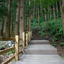 편백모텔 이미지