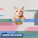 실이 그루밍 이미지