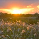 김대중컨벤션센터 관광안내소 이미지