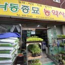 낙동종묘농약사 이미지