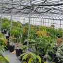 김내용농장 이미지