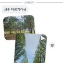 썸투