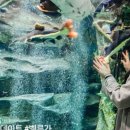 뚝섬한강공원-65 이미지