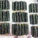 으뜸꼬마김밥 이미지