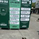 봄강아지