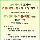 GV전자담배그린베이퍼 이미지