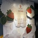 (주)푸드트리 - 7235 | 반얀트리 그라넘 다이닝 라운지 2026년 VERY VARY BERRY 딸기뷔페 내돈내산 후기