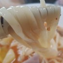 선진푸드 - 금산군 | 선진푸드