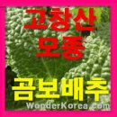 잠이요침구 이미지