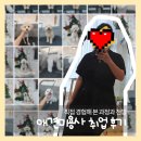 애견미용 취업 후기, 준비 방법과 월급은?