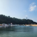 안인해변(안인해수욕장) 네이버블로그