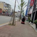 영스타롤러장
