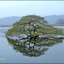 백마개발 이미지