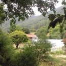 한아름유치원 이미지