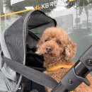 응암지점 국민은행 이미지