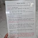 경주 독채 애견펜션 메리데이 내돈내산 후기