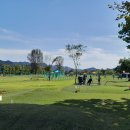 난립한 파크골프장, 환경문제는 살펴보았나요? 이미지