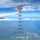 구일여행사