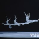 몸 언어가 자신만의 인도(仁道)를 관철할 때 : 광주시립발레단 ‘DIVINE’ / 최지안(류빈) 이미지