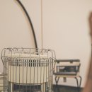 엘지농원 이미지