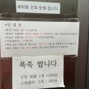 코스테펜션 이미지