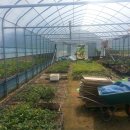 원우농장 이미지